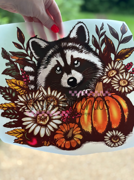 Fall Raccoon